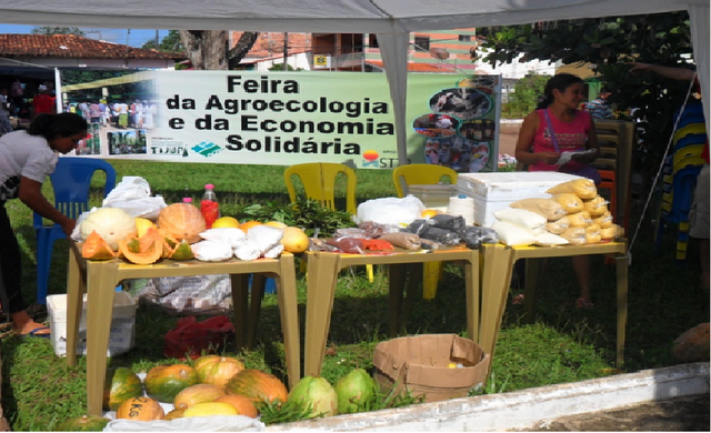 feira agroecologica
